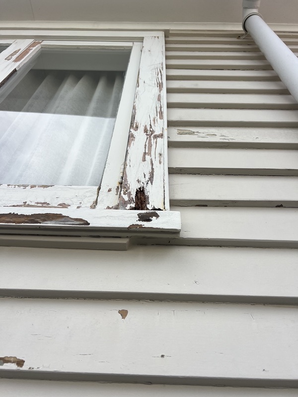Weatherboard house repainting