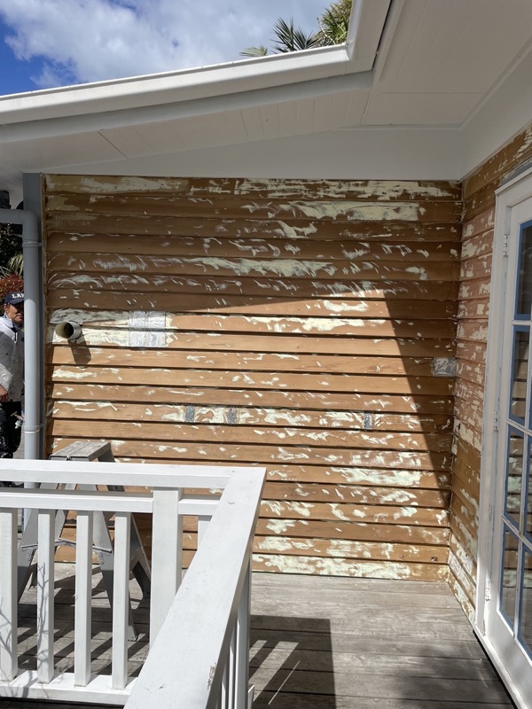 Exterior restoration collection