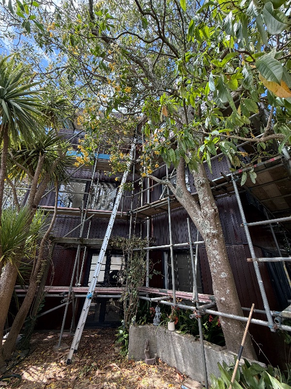 Grey Lynn residential Sikkens